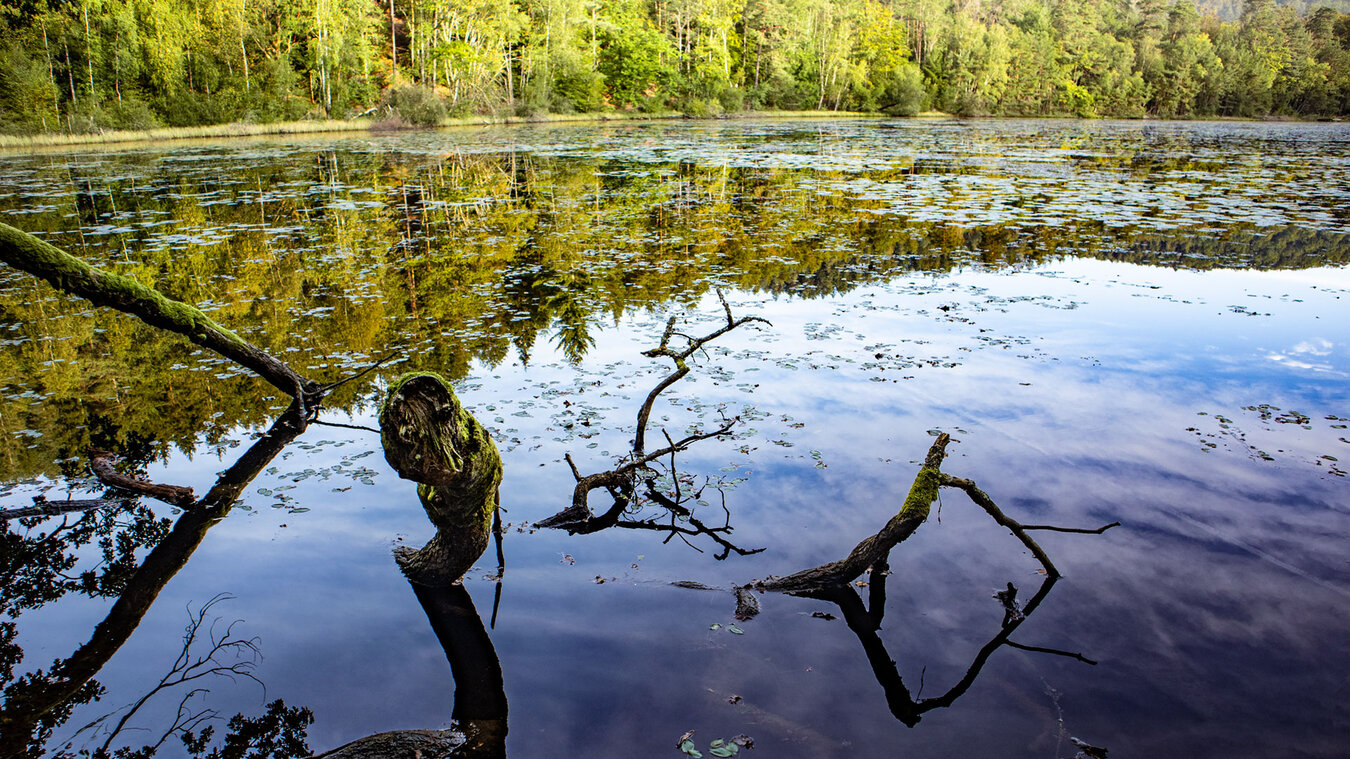 Étang du Lieschbach | © Sunhikes