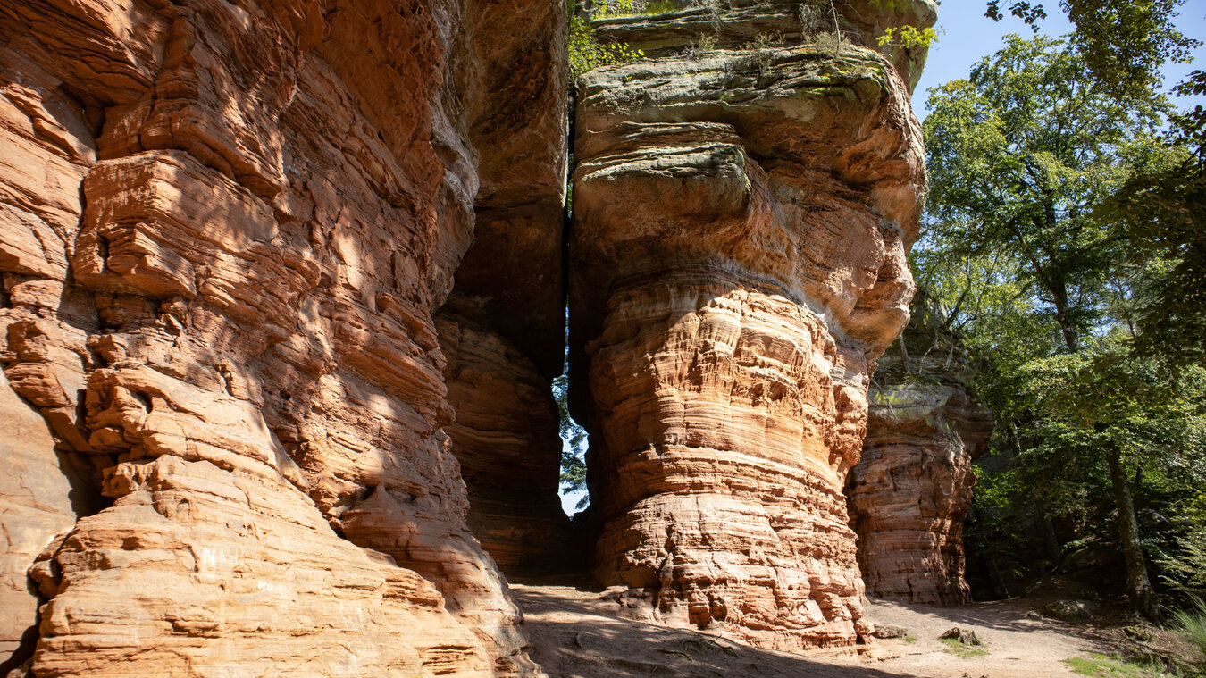 die Altschlossfelsen bei Eppenbrunn | © Sunhikes