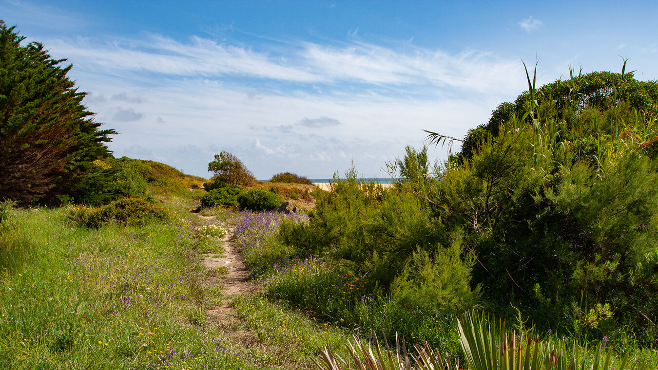 malerischer Pfad zum Strand Playa de los Alemanes | © Sunhikes Pfad zum Strand Playa de los Alemanes | © Sunhikes