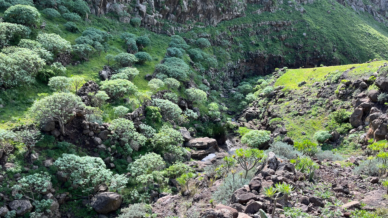 spektakuläres Teilstück durch den Barranco Itobal | © Sunhikes