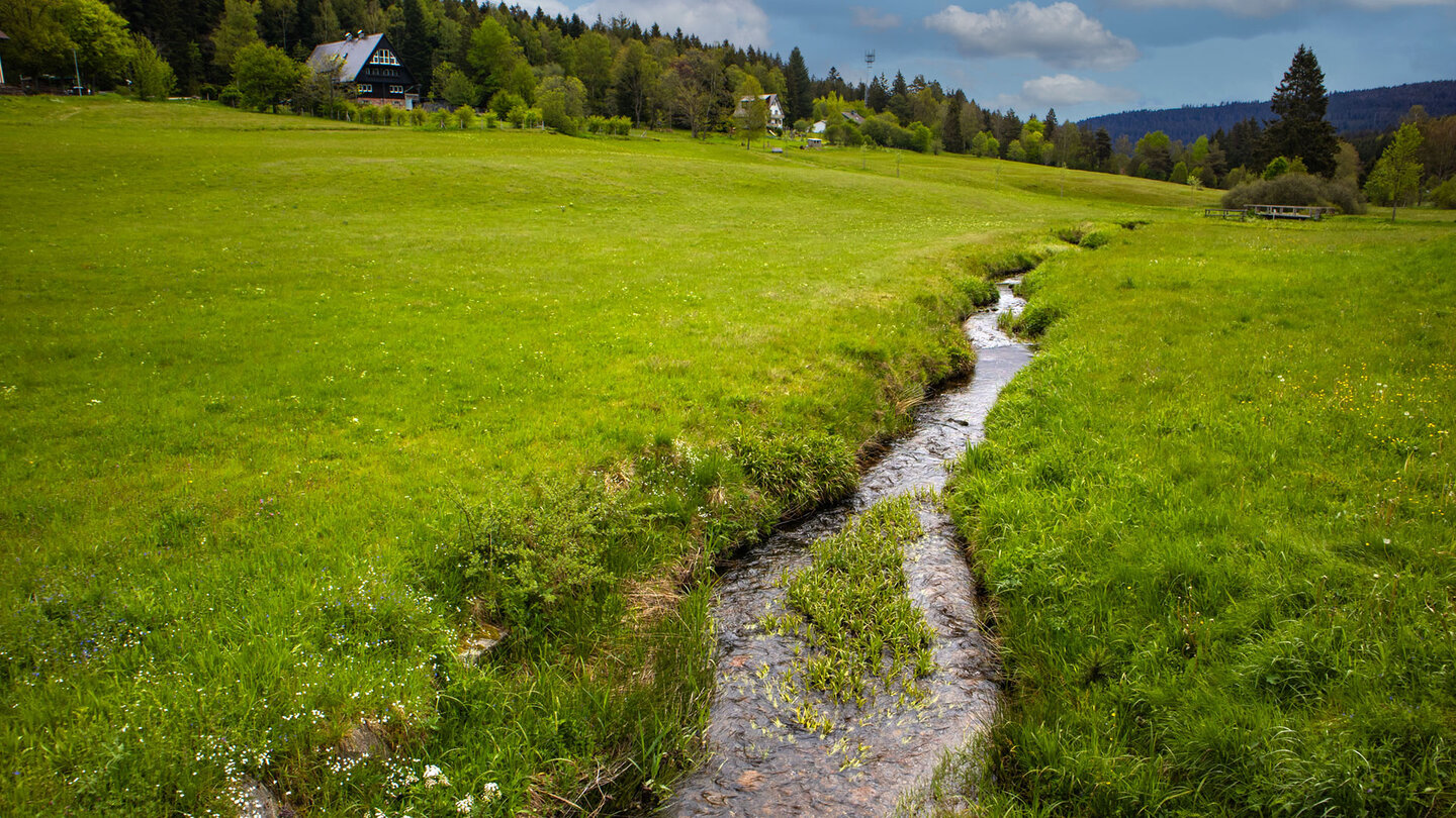der Schwarzenbach bei Herrenwies | © Sunhikes