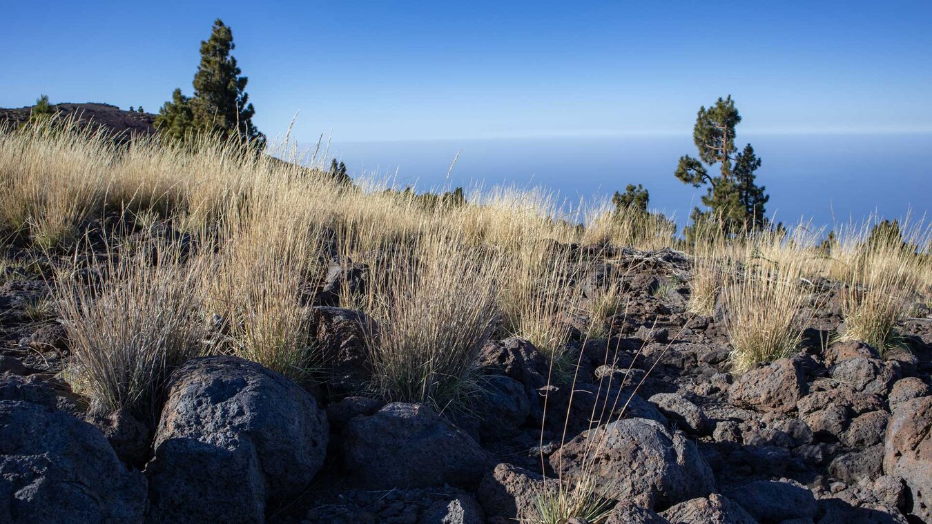 Ausblick auf den Atlantik vom Hochplateau Llano de las Animas | © ©Sunhikes