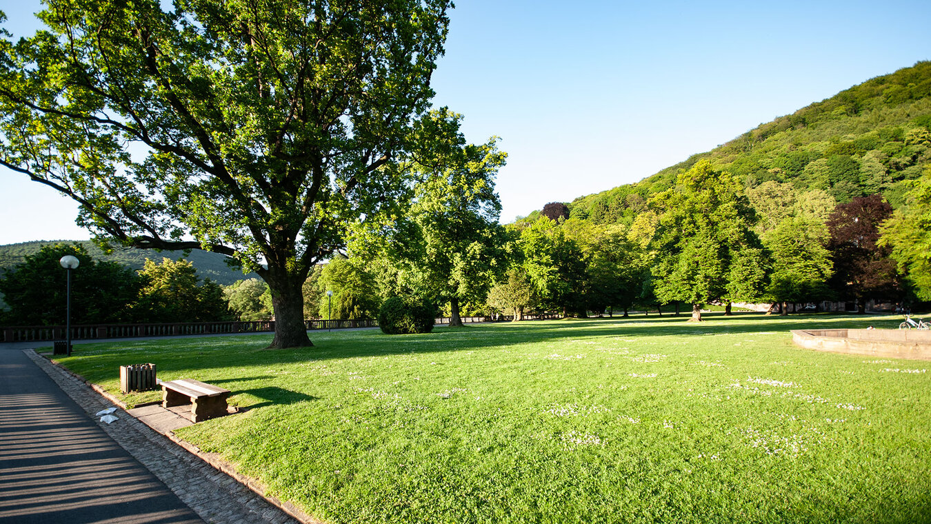 Hortus Palatinus – der Schlossgarten des Heidelberger Schlosses | © Sunhikes Hortus Palatinus – der Schlossgarten | © Sunhikes