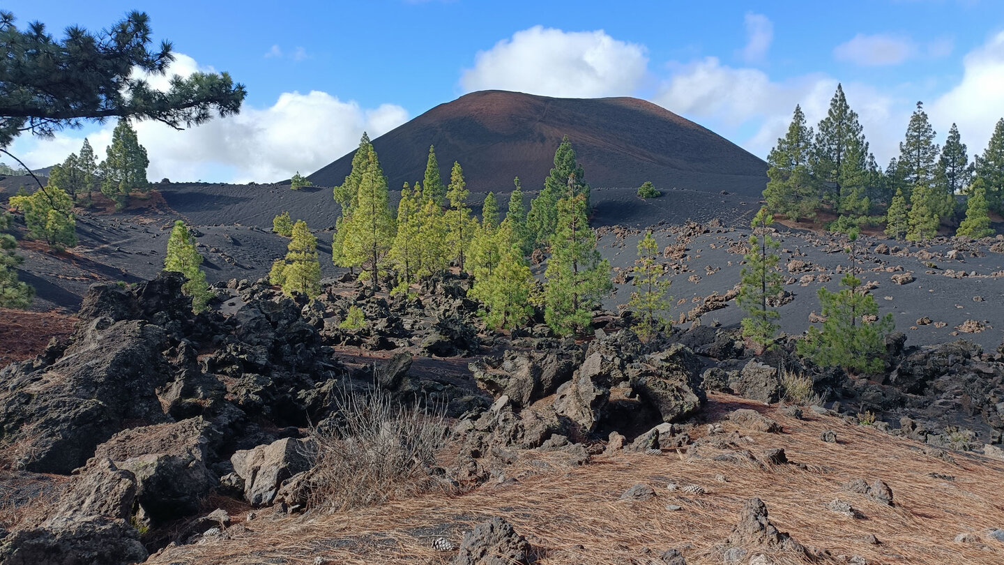 der rötlich-schwarze Vulkankegel des Montaña Chinyero inmitten von Lapilli-Flächen | © Sunhikes