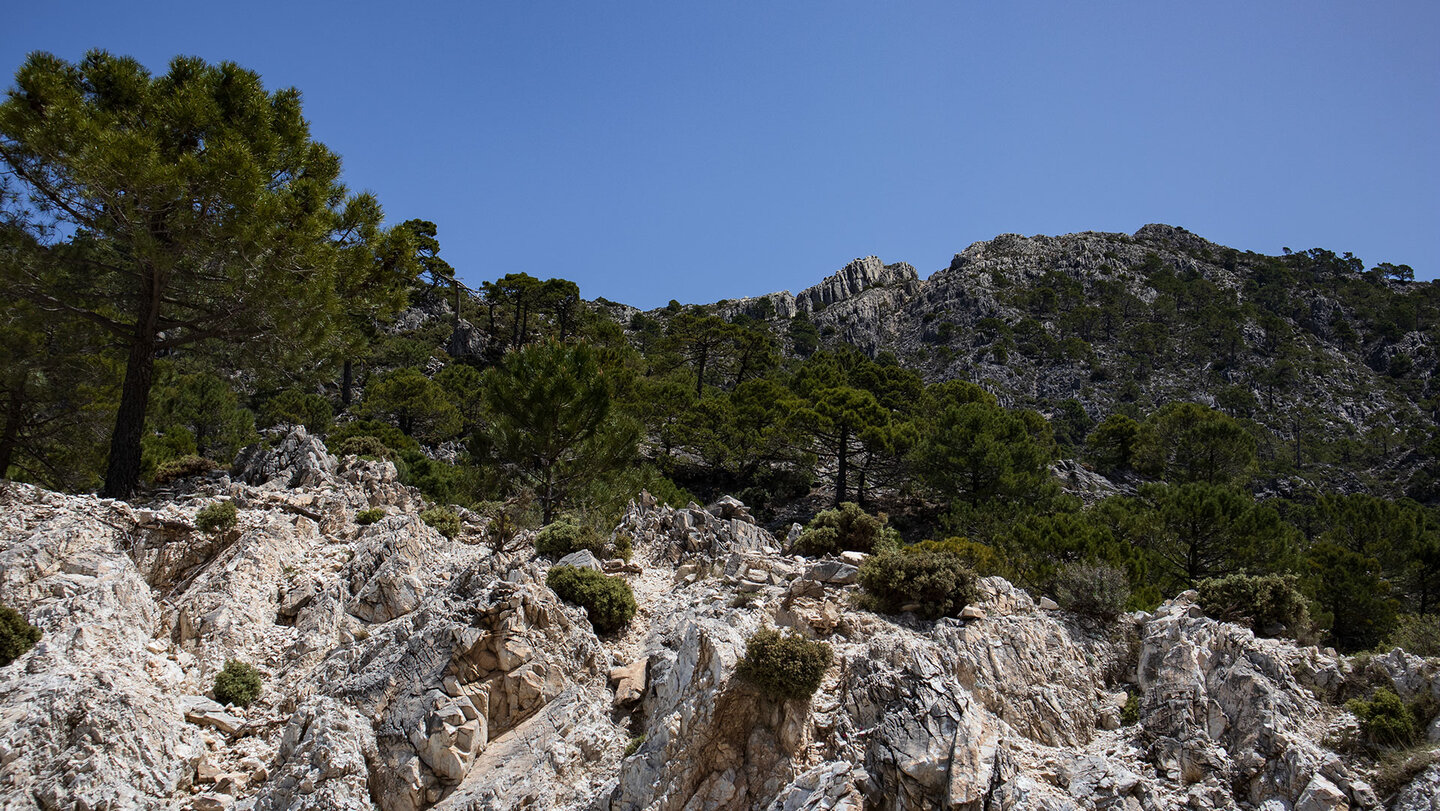die Sierra de Tejeda und die Sierra de Almijara sind von felsigen Gebirgszügen geprägt | © Sunhikes die Sierra sde Tejeda und Almijara sind von felsigen Gebirgszügen geprägt | © Sunhikes