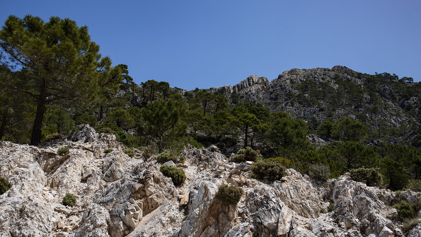 die Sierra de Tejeda und die Sierra de Almijara sind von felsigen Gebirgszügen geprägt | © Sunhikes die Sierra sde Tejeda und Almijara sind von felsigen Gebirgszügen geprägt | © Sunhikes