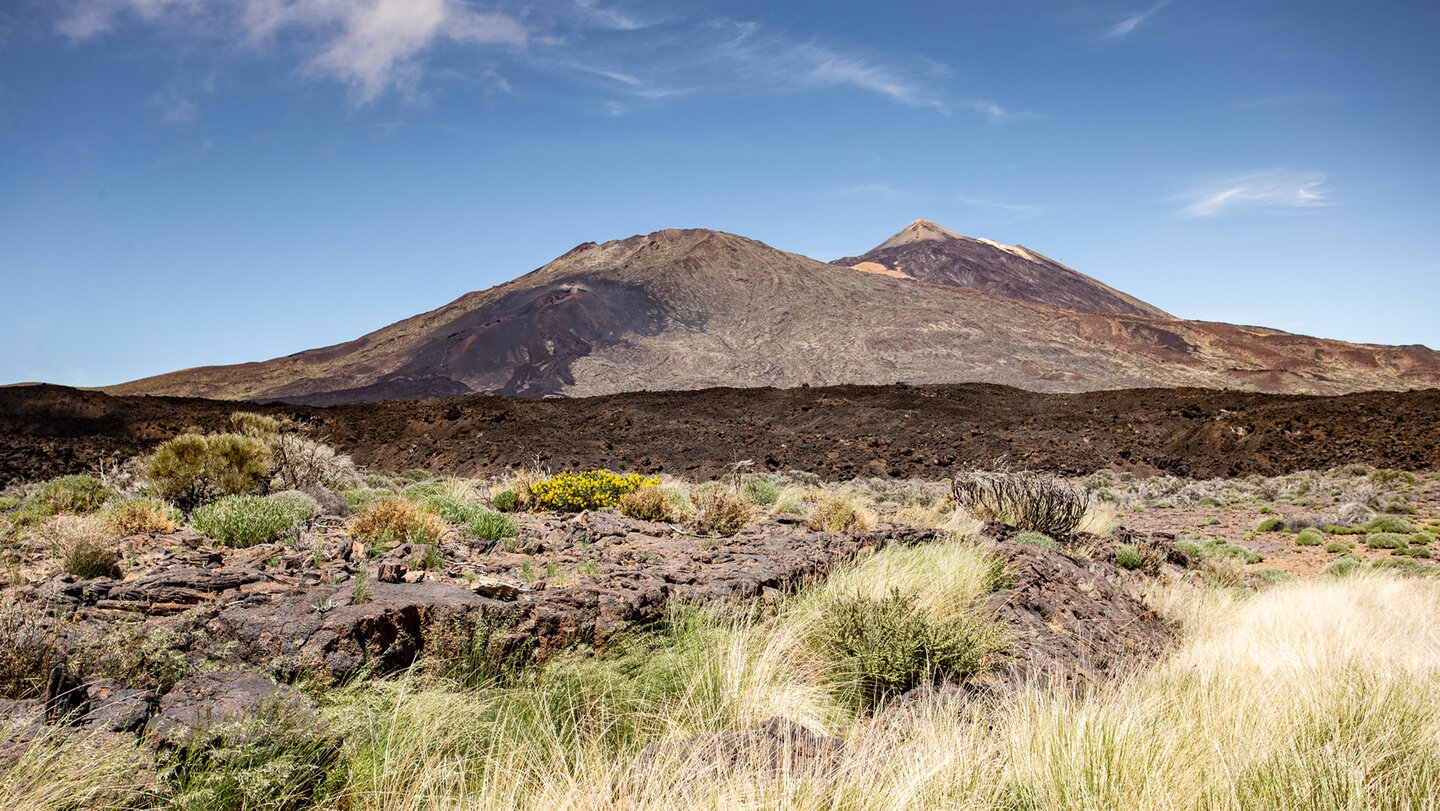 Blick auf Narices del Teide, Pico Viejo und Teide vom Wanderweg Chavao | © Sunhikes