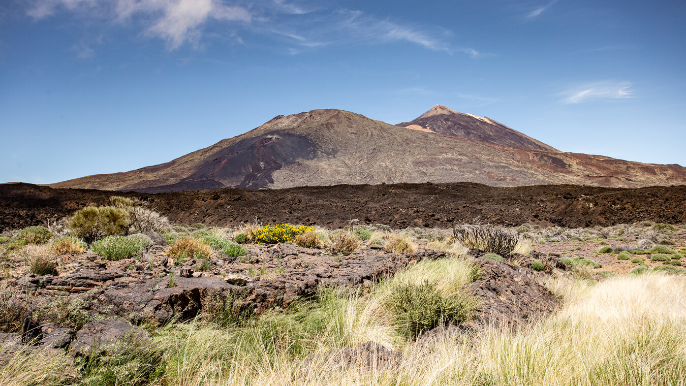 Blick auf Narices del Teide, Pico Viejo und Teide vom Wanderweg Chavao | © Sunhikes