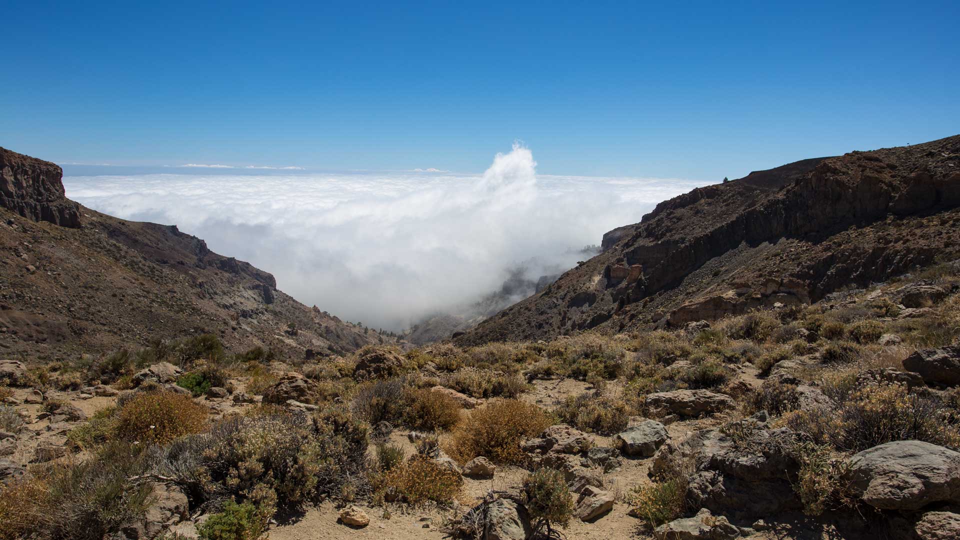 Blick übers Wolkenmeer von der Degollada de Guajara | © SUNHIKES Blick übers Wolkenmeer von der Degollada de Guajara | © SUNHIKES