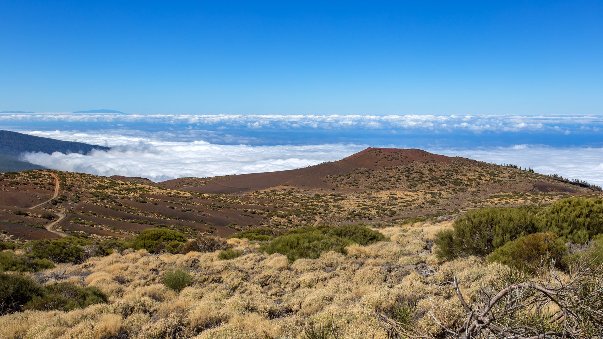 Passatwolken unterhalb des Montaña Limón | © SUNHIKES Passatwolken unterhalb des Montaña Limón | © SUNHIKES