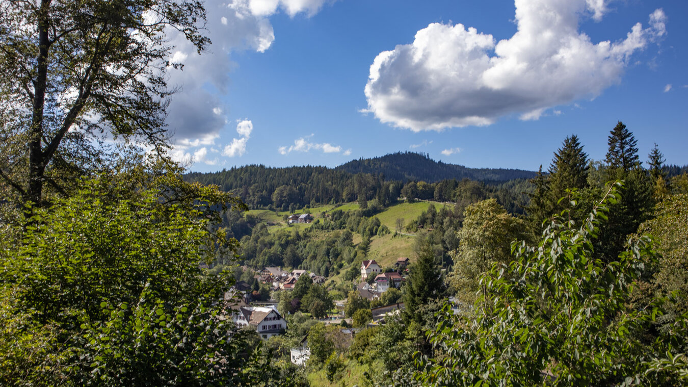 Genießerpfad Panoramasteig – Ausblick auf Schönmünzach | © Sunhikes