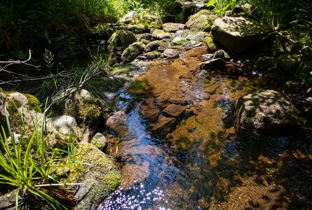der wildromantische Tonbach | © Sunhikes