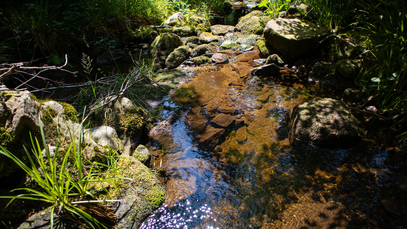 der wildromantische Tonbach | © Sunhikes