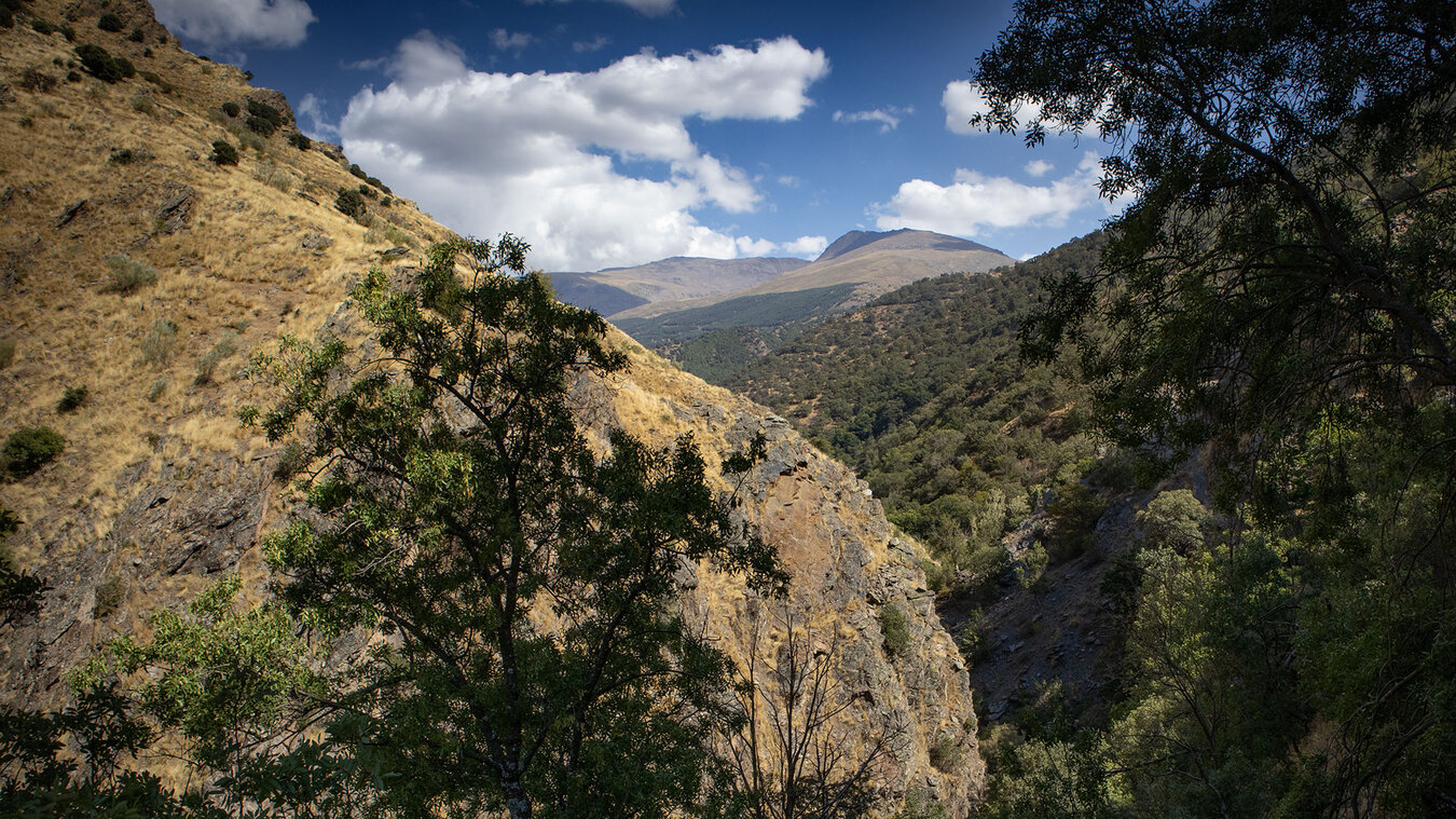 Vereda de la Estrella und die Schlucht des Río Genil | © Sunhikes
