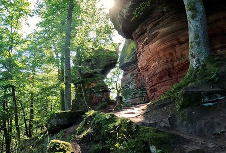die Altschlossfelsen im Pfälzerwald | © Sunhikes