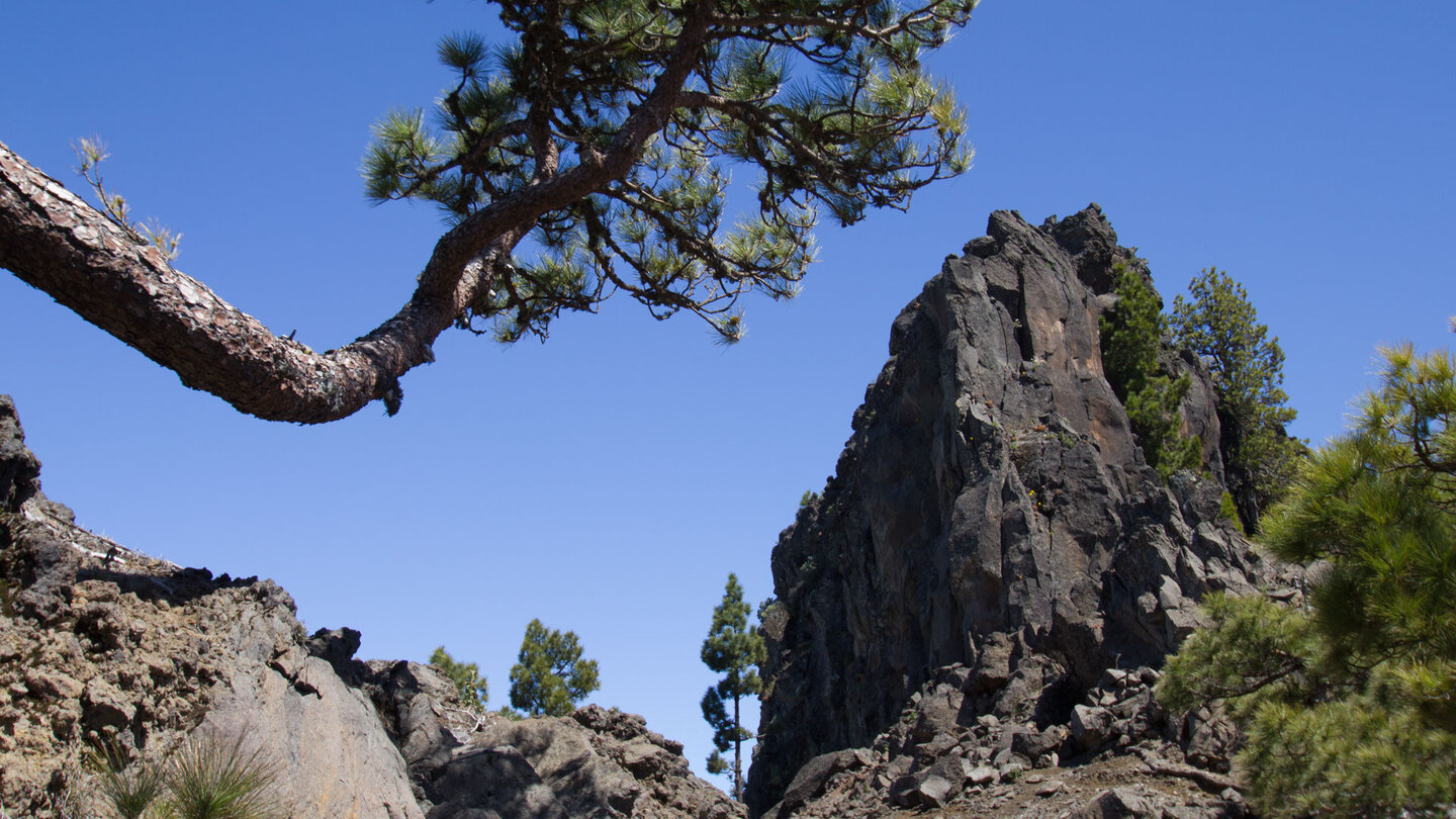 Wanderung unterhalb des Pico de Corralejo | © SUNHIKES Pico de Corralejo | © SUNHIKES