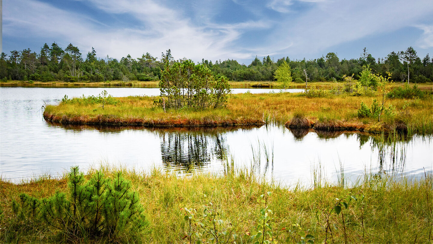 Blick über den Wildsee im Hochmoor bei Kaltenbronn | © Sunhikes