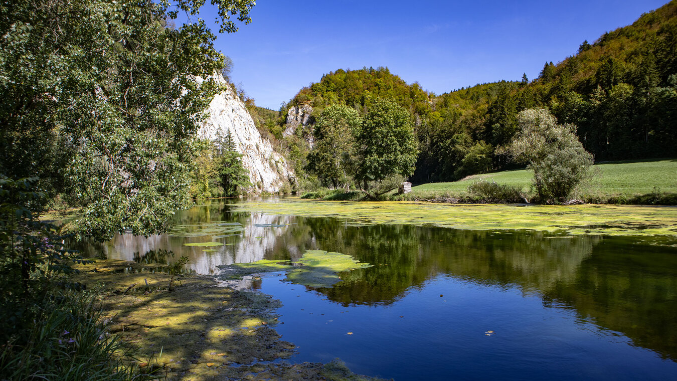 Die Donau am Bettelmannfelsen im Oberen Donautal | © Sunhikes