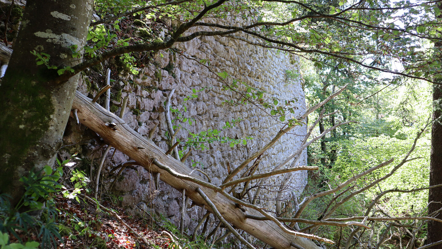 Mauerreste der Burg Stein im Oberen Donautal | © Sunhikes
