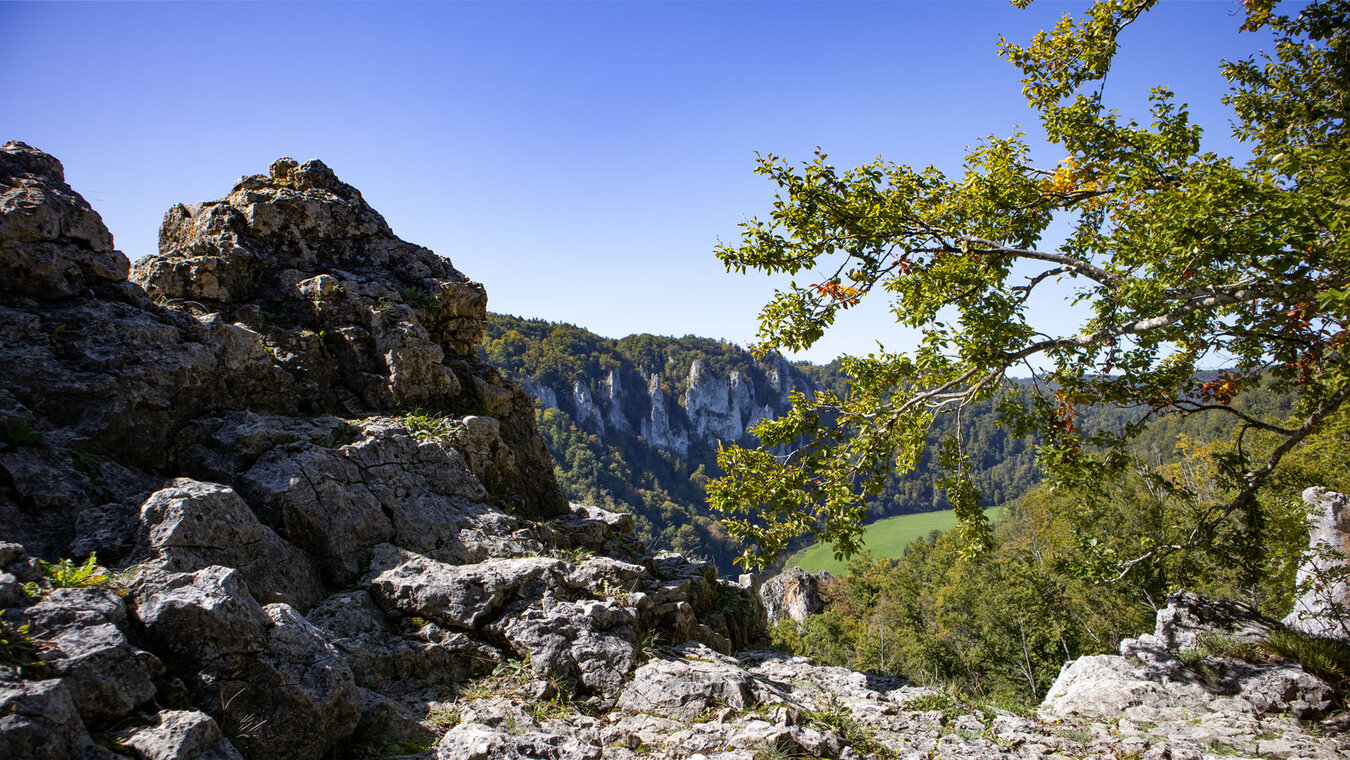 Aussichtspunkt über der Falkenwand | © Sunhikes