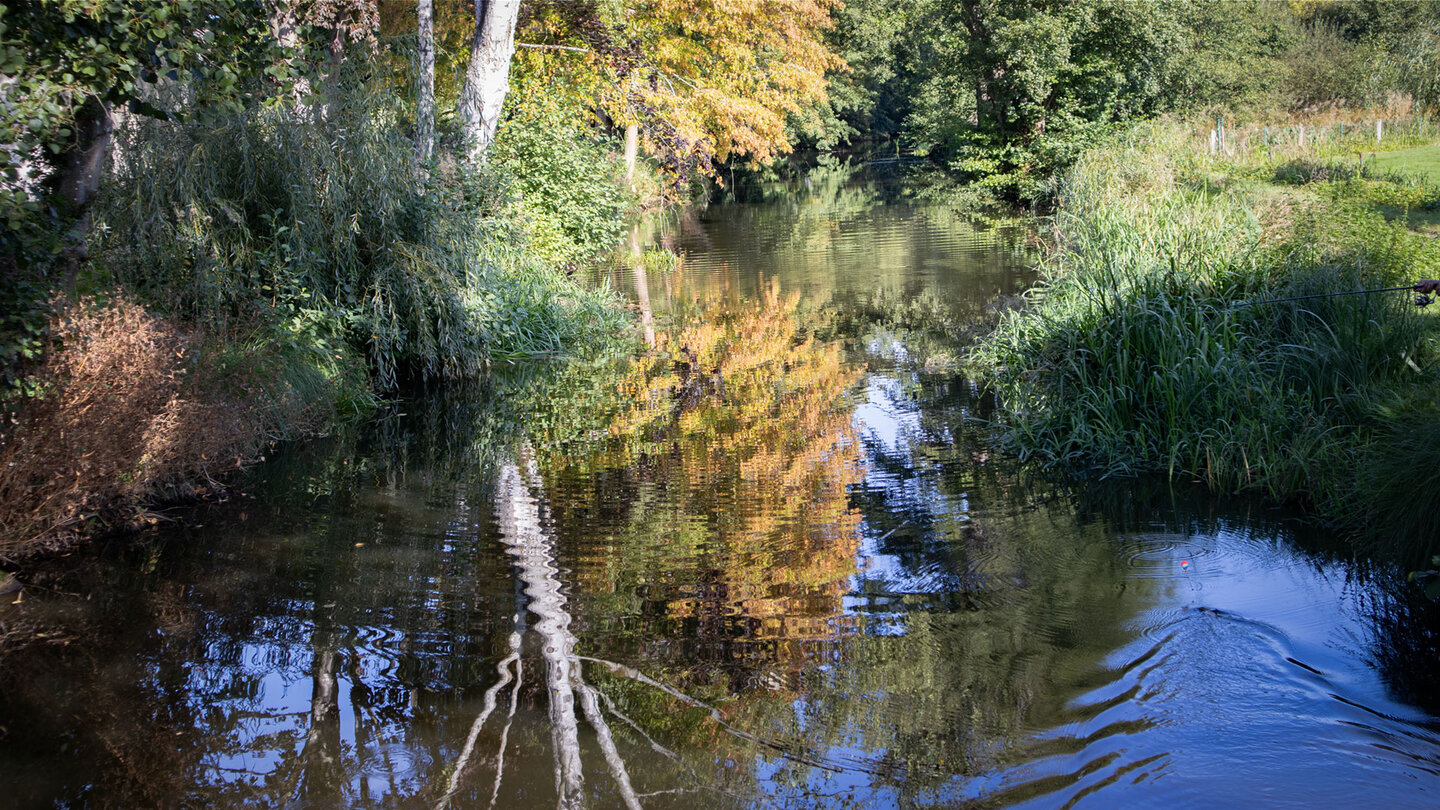 am Baerenthaler Weier | © Sunhikes