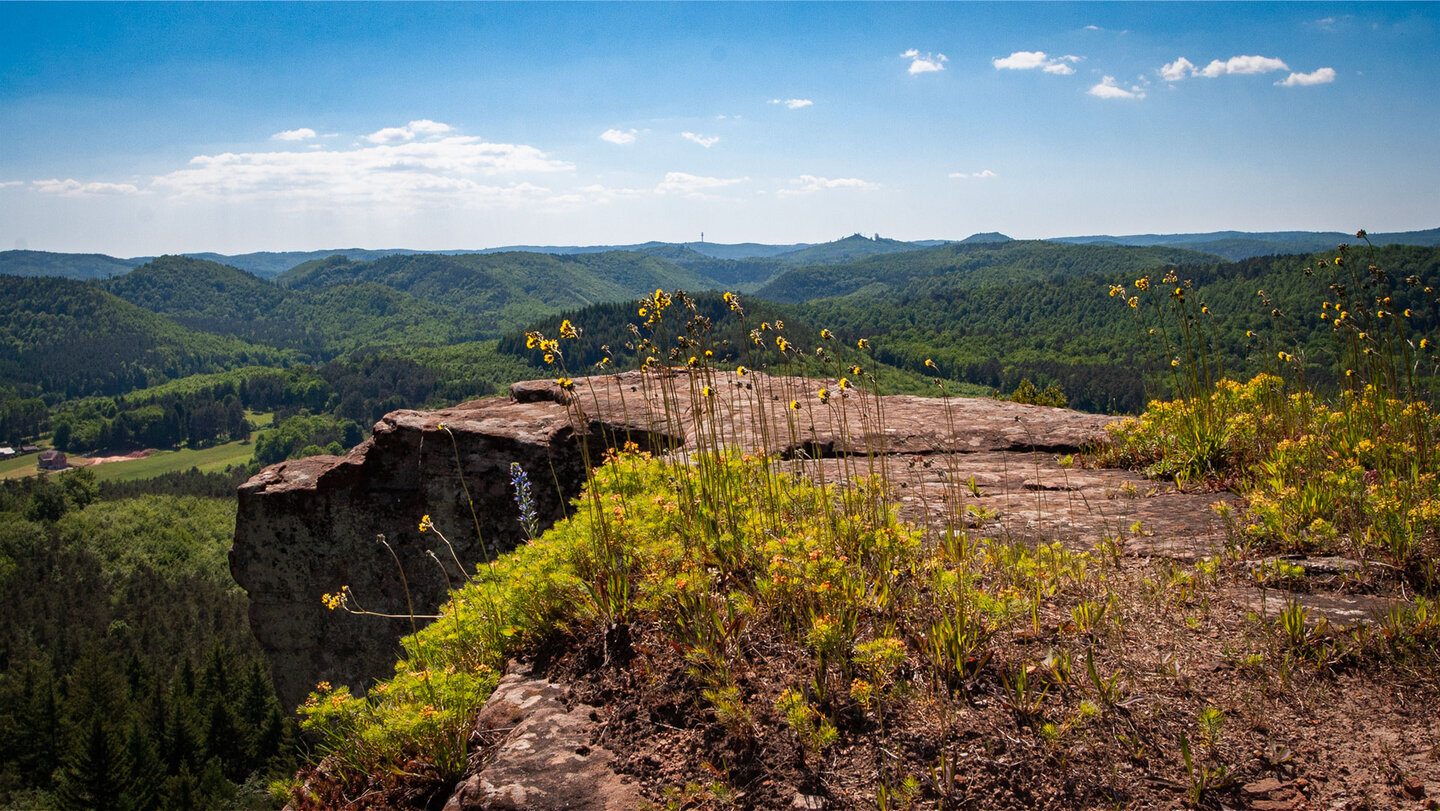 Panorama über das Biosphärenreservat Nordvogesen | © Sunhikes