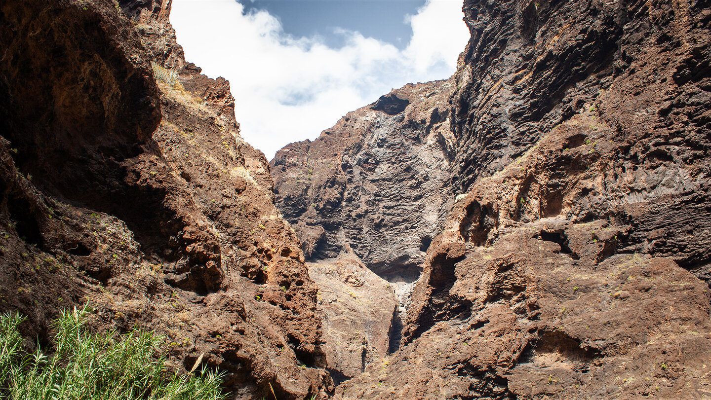 zerklüftete Felswände in der Masca-Schlucht auf Teneriffa | © Sunhikes Felswände in der Masca-Schlucht | © Sunhikes