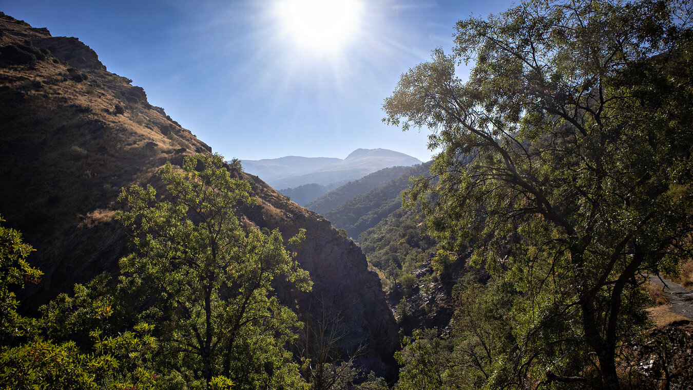 Vereda de la Estrella in der Sierra Nevada | © Sunhikes