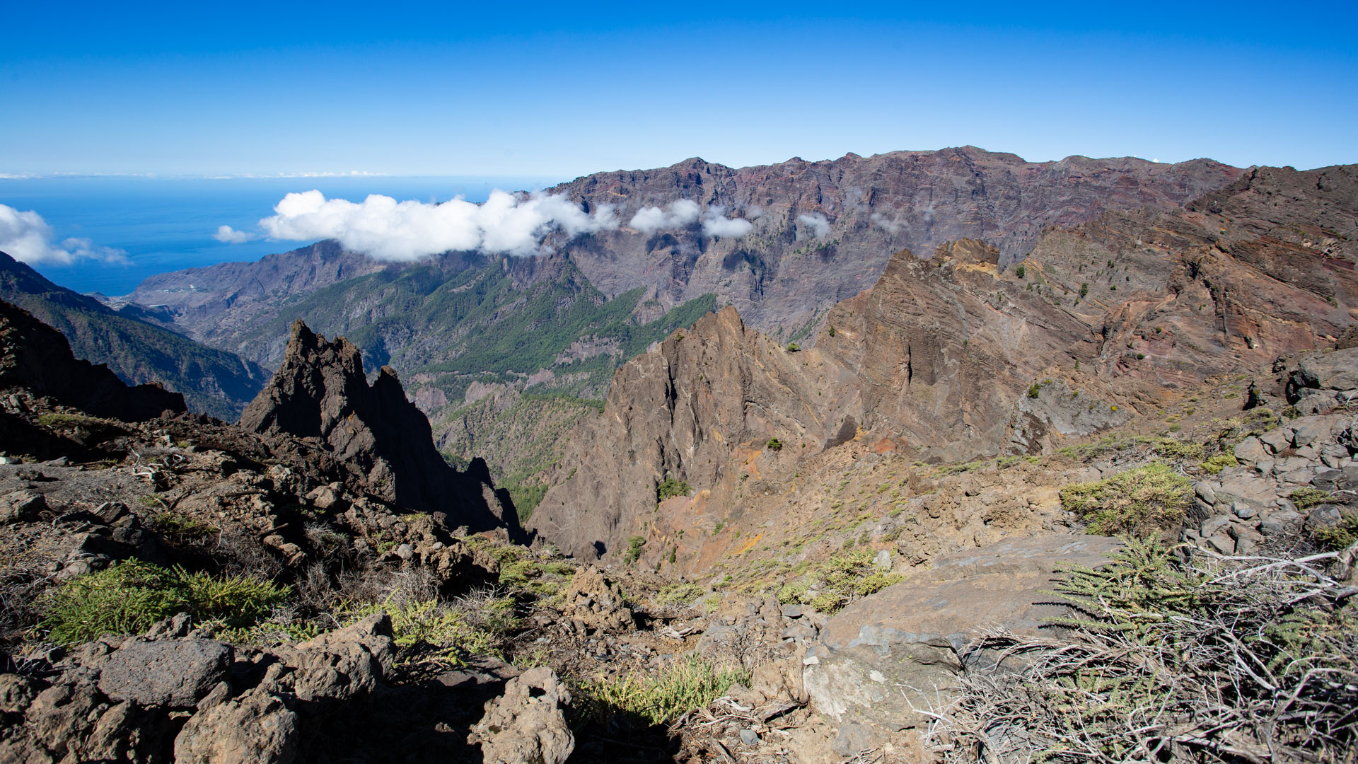 Blick über die Angustias-Schlucht bis zum Hafen von Tazacorte | © SUNHIKES Blick über die Angustias-Schlucht bis zum Hafen von Tazacorte | © SUNHIKES