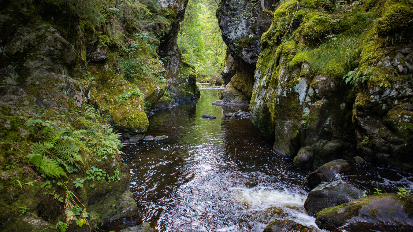 Durchbruch der Haslach am Rechenfelsen | © Sunhikes