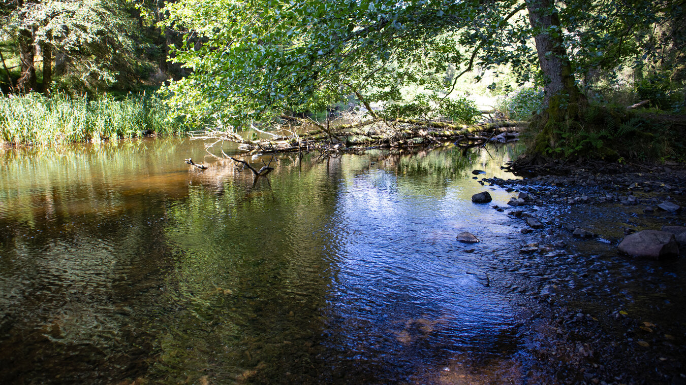 Mündung des Röthenbach in die Wutach | © Sunhikes