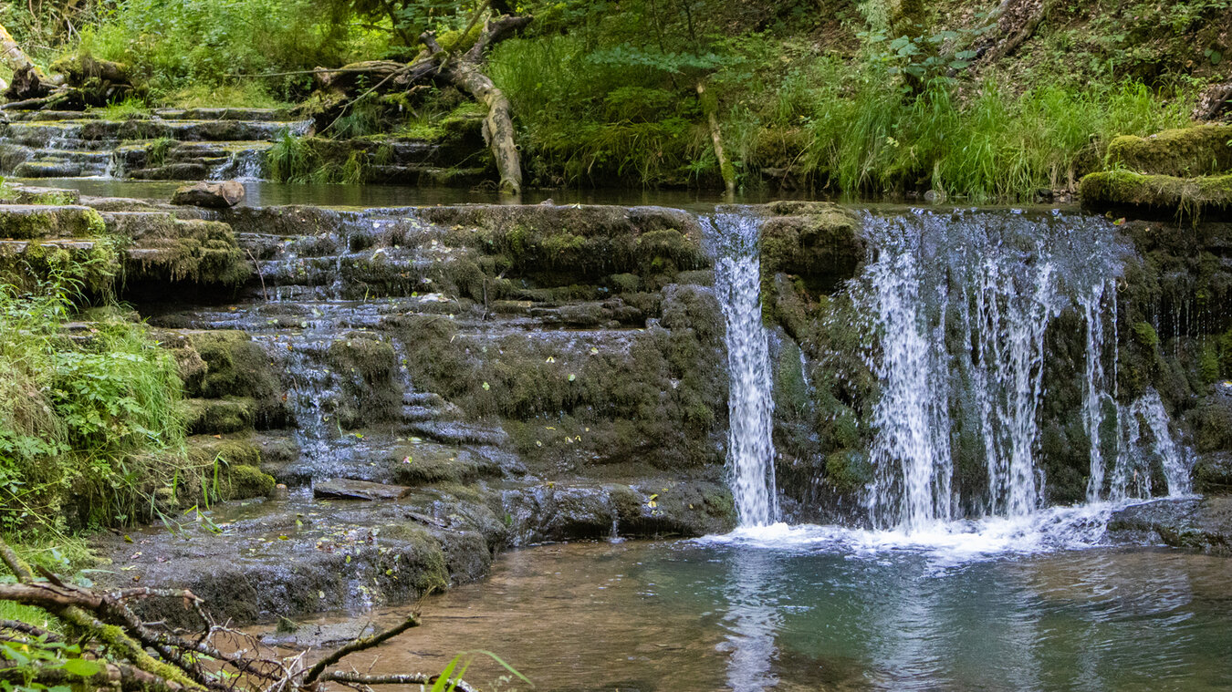 das kaskadenartig ausgebildete Bachbett der Gauchach | © Sunhikes