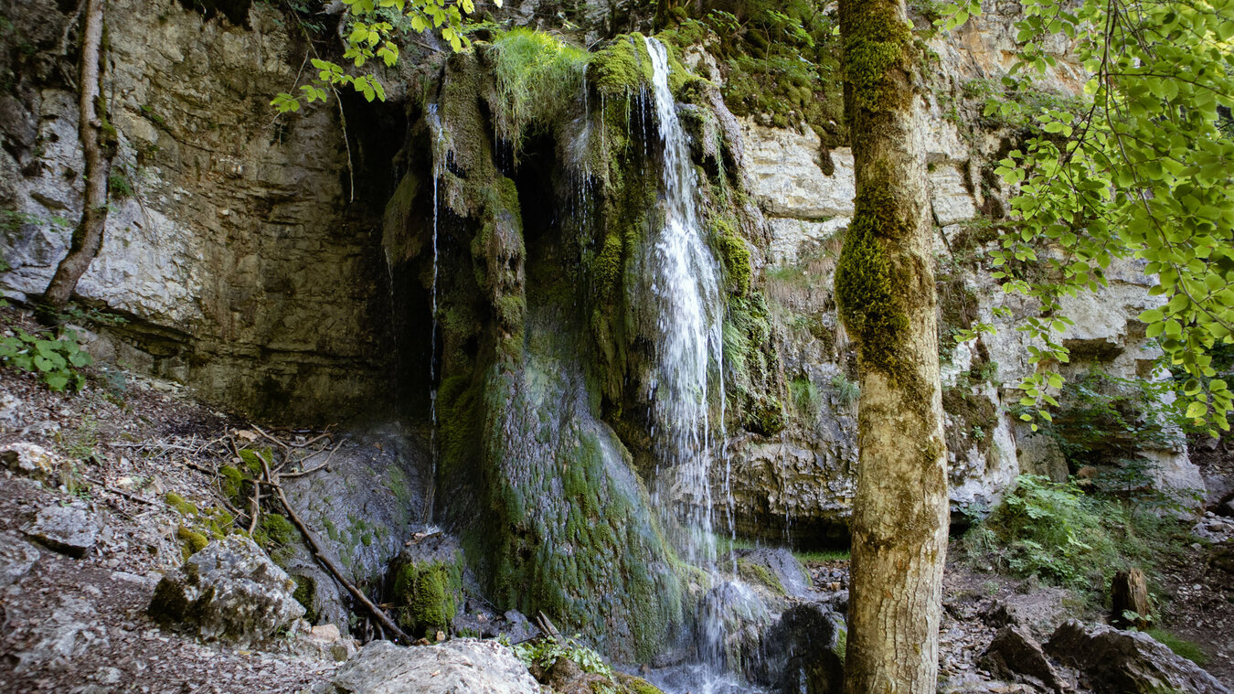 bizarre Kalktuffformation am Tannegger Wasserfall | © Sunhikes