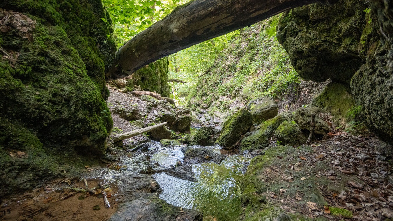 der Sturzdobel Wasserfall in den Wutachflühen | © Sunhikes