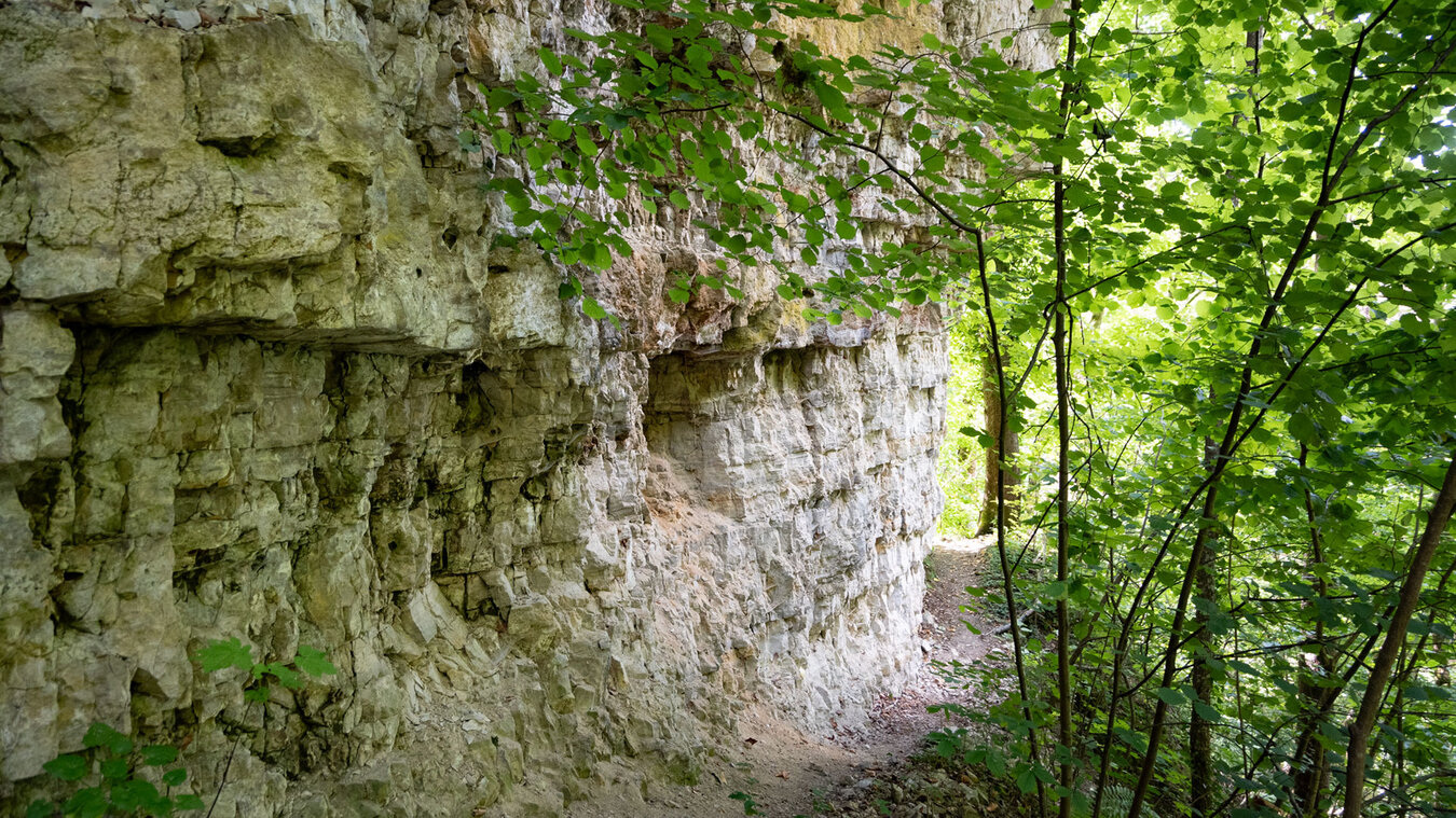 Muschelkalkwände in den Wutachflühen | © Sunhikes