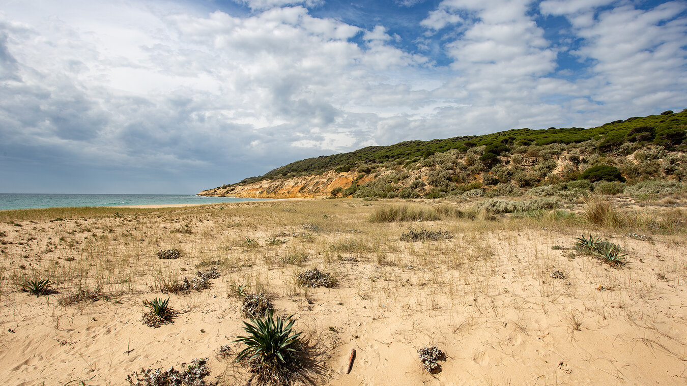 Küstenlandschaft im Parque Natural de la Breña y Marismas del Barbate | © Sunhikes Küstenlandschaft im Parque Natural de la Breña y Marismas del Barbate | © Sunhikes