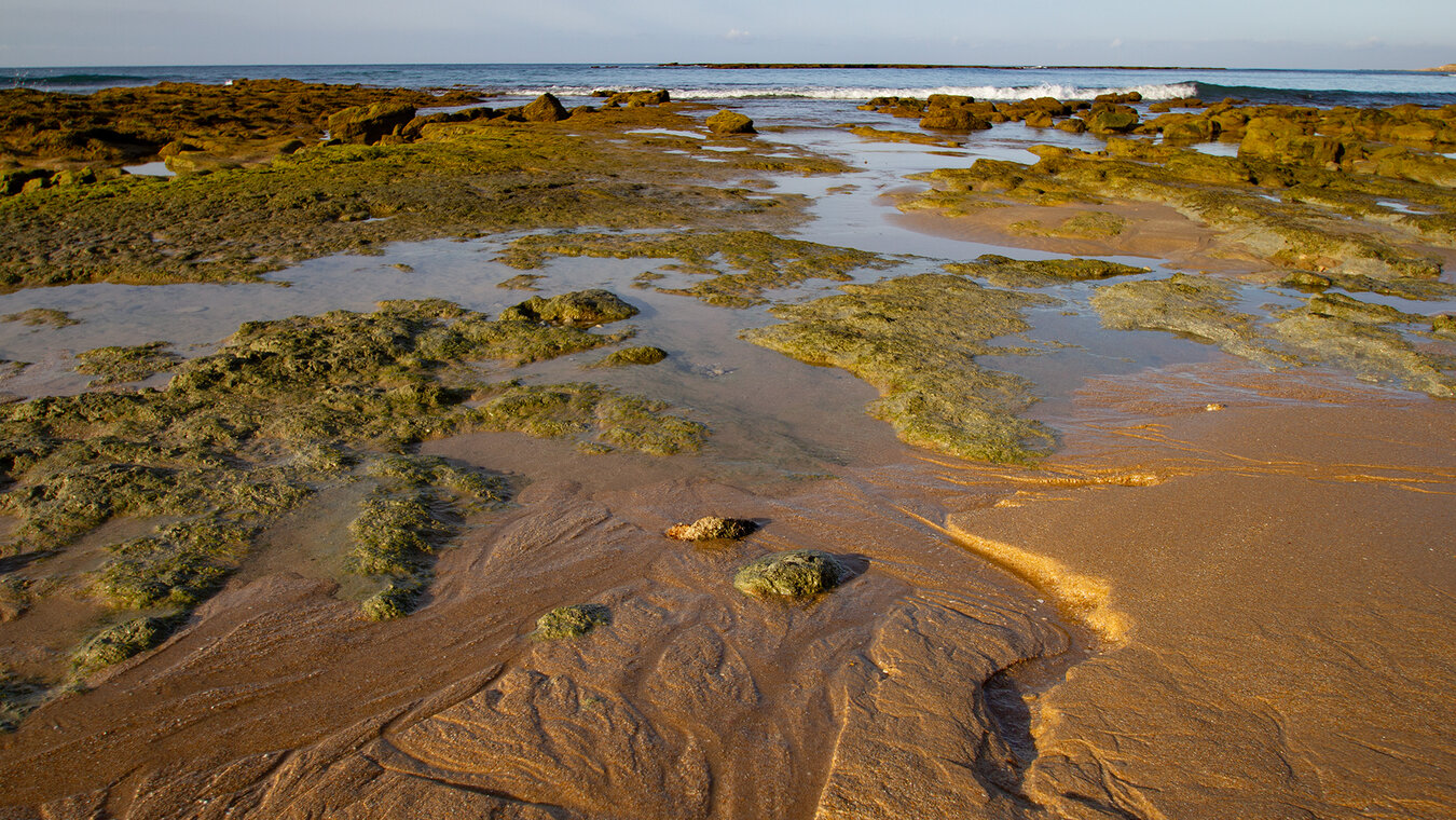 Strände des Naturparks La Breña y Marismas de Barbate | © Sunhikes