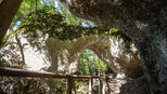 Felsentor bei den Inzighofer Grotten | © © Sunhikes