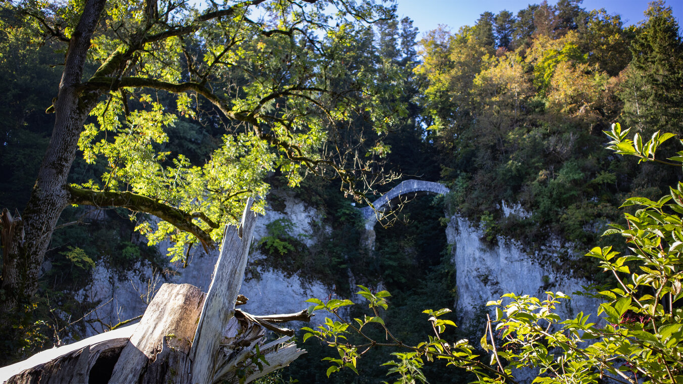 Blick von den Donauauen auf die Teufelsbrücke | © © Sunhikes