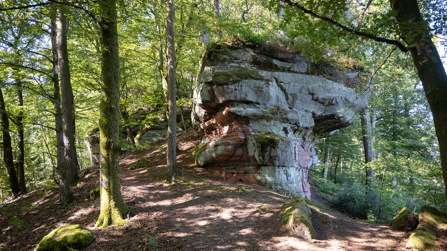 Wanderweg am Eulenfels  | © Sunhikes