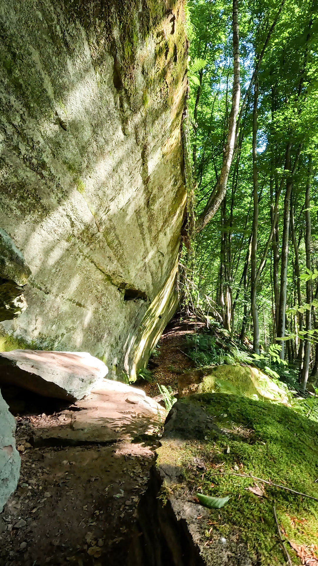 Rodalber Felsenwanderweg | © Sunhikes