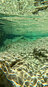smaragdgrünes Wasser des Río Verde | © Sunhikes