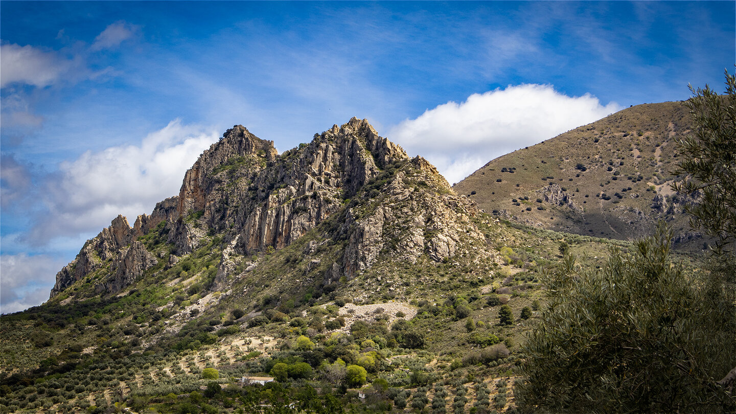 Torcal de Albánchez de Mágina über Olivenhainen | © Sunhikes