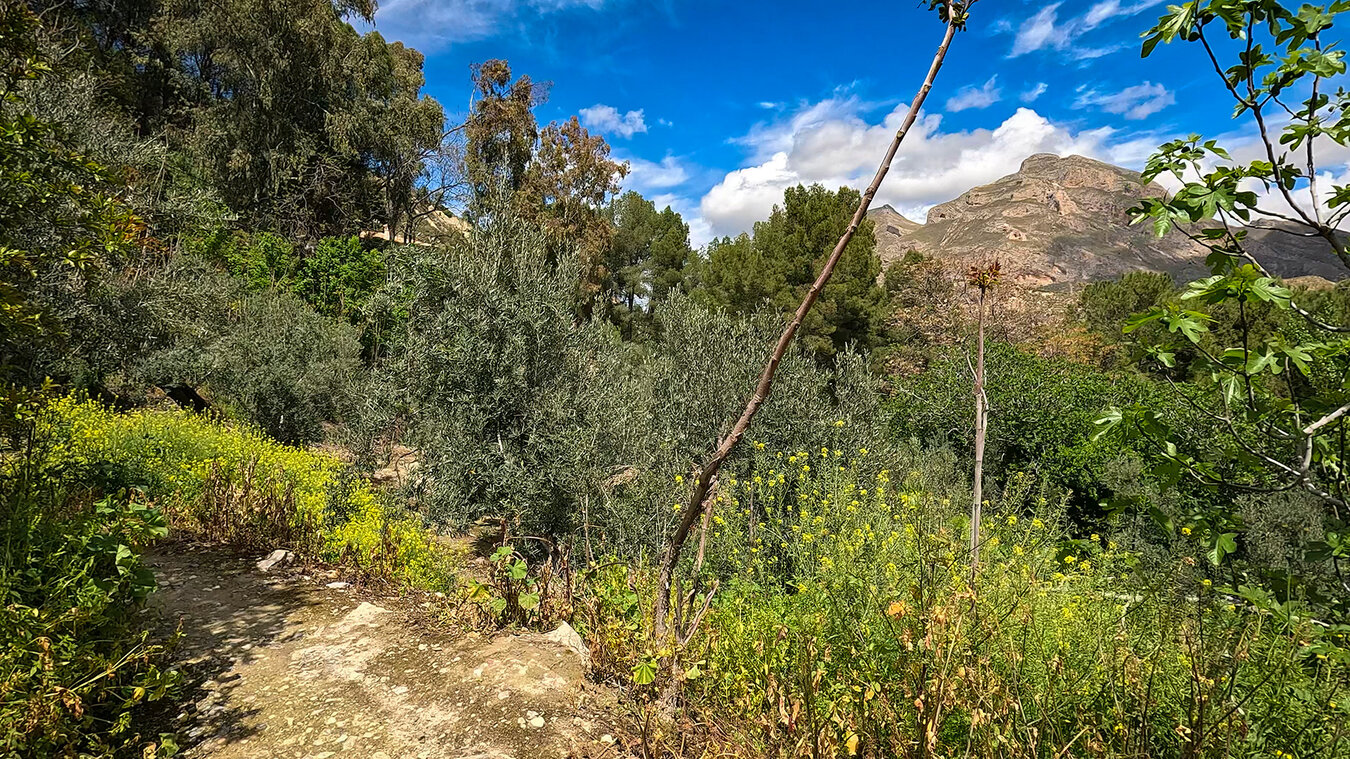 Sendero de Las Viñas in der Sierra Mágina  | © Sunhikes