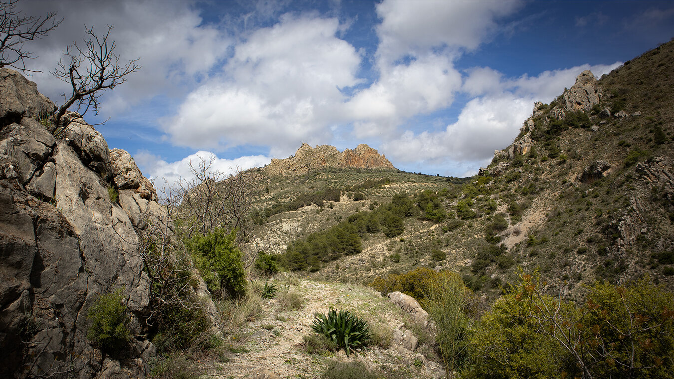 Sierra Mágina – Felsen zwischen Olivenbäumen | © Sunhikes