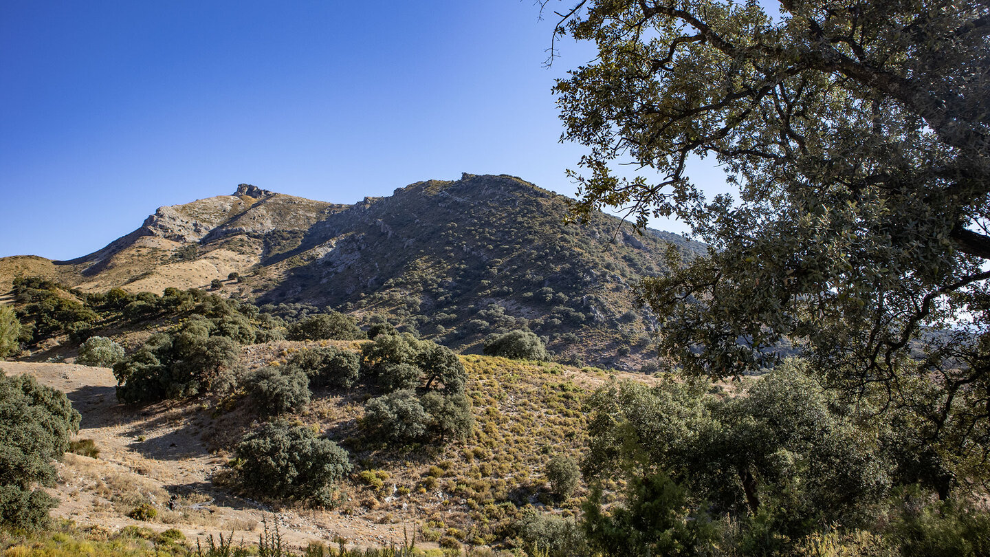 La Tiñosa – der höchste Gipfel im Naturpark Sierras Subbéticas | © Sunhikes