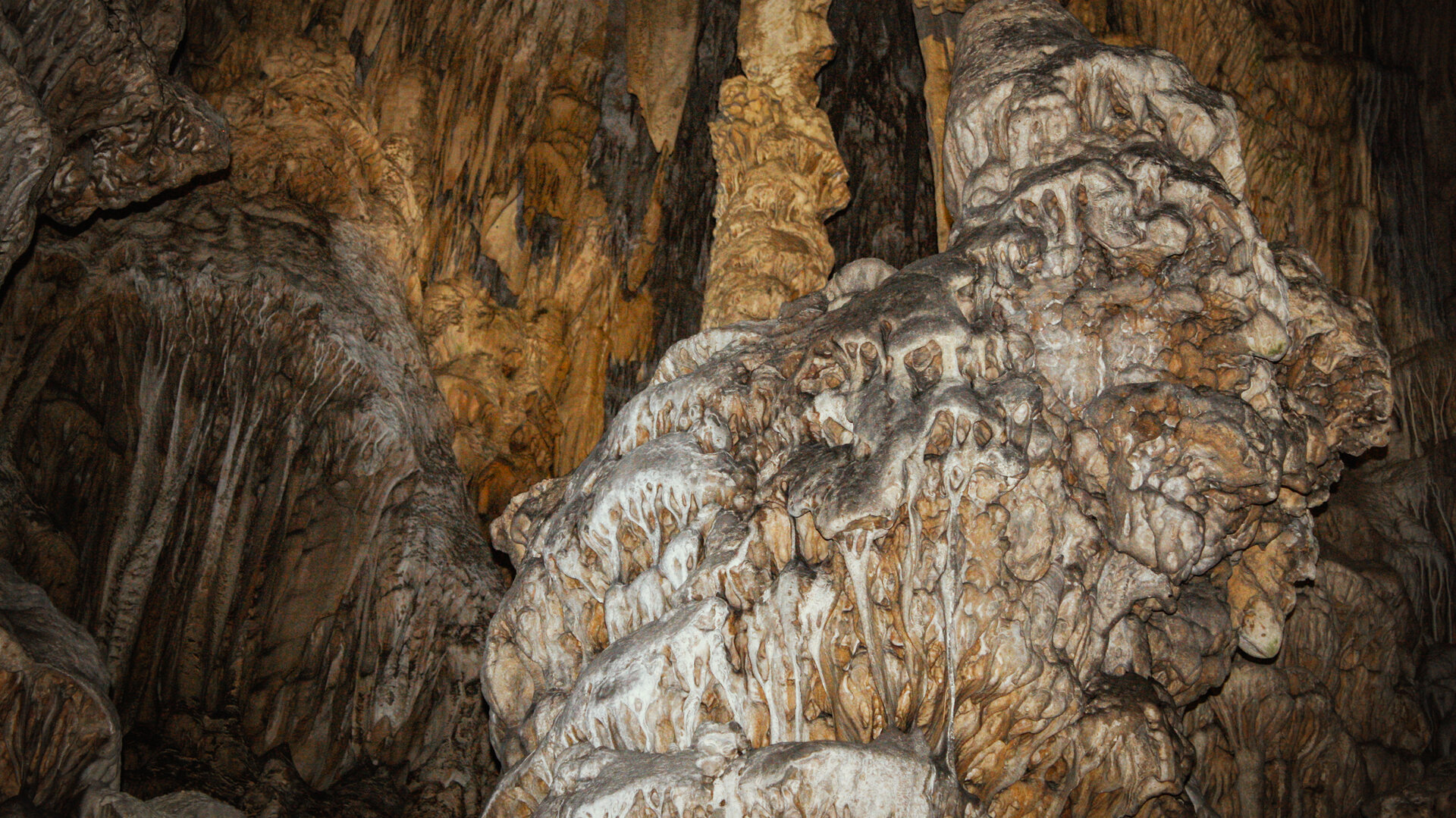 die Karsthöhle St. Michael’s Cave auf Gibraltar | © Sunhikes