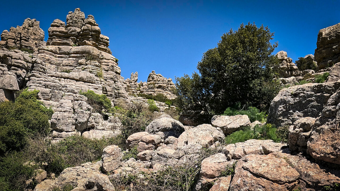 Der Naturpark El Torcal de Antequera: ein faszinierendes Ökosystem | © Sunhikes faszinierendes Ökosystem - Naturpark El Torcal de Antequera | © Sunhikes