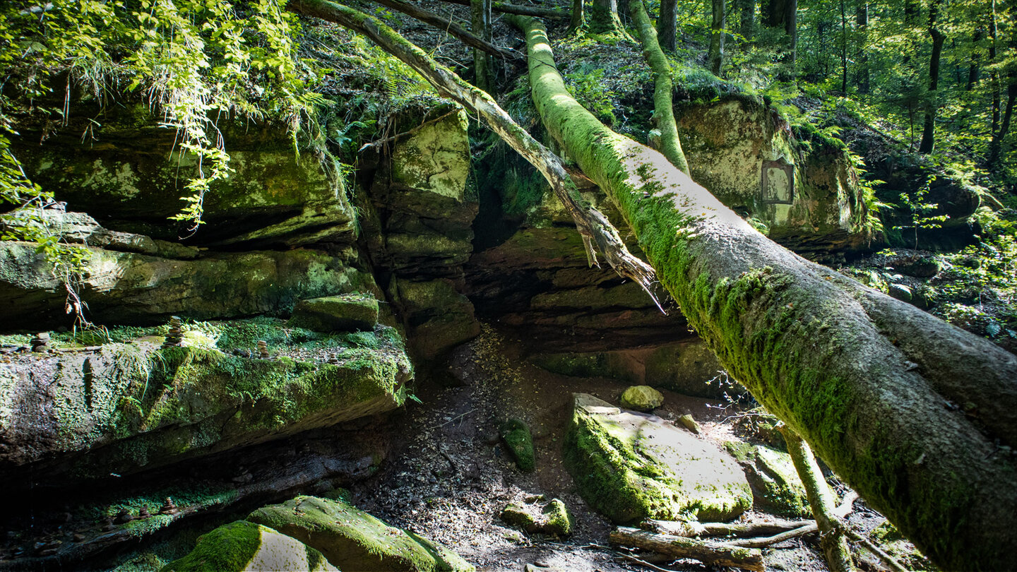Hexenklamm bei Pirmasens | © Sunhikes
