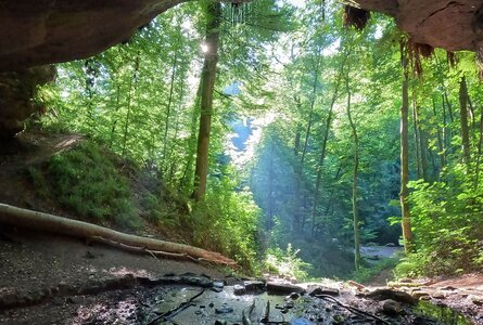Bärenhöhle bei Rodalben | © Sunhikes